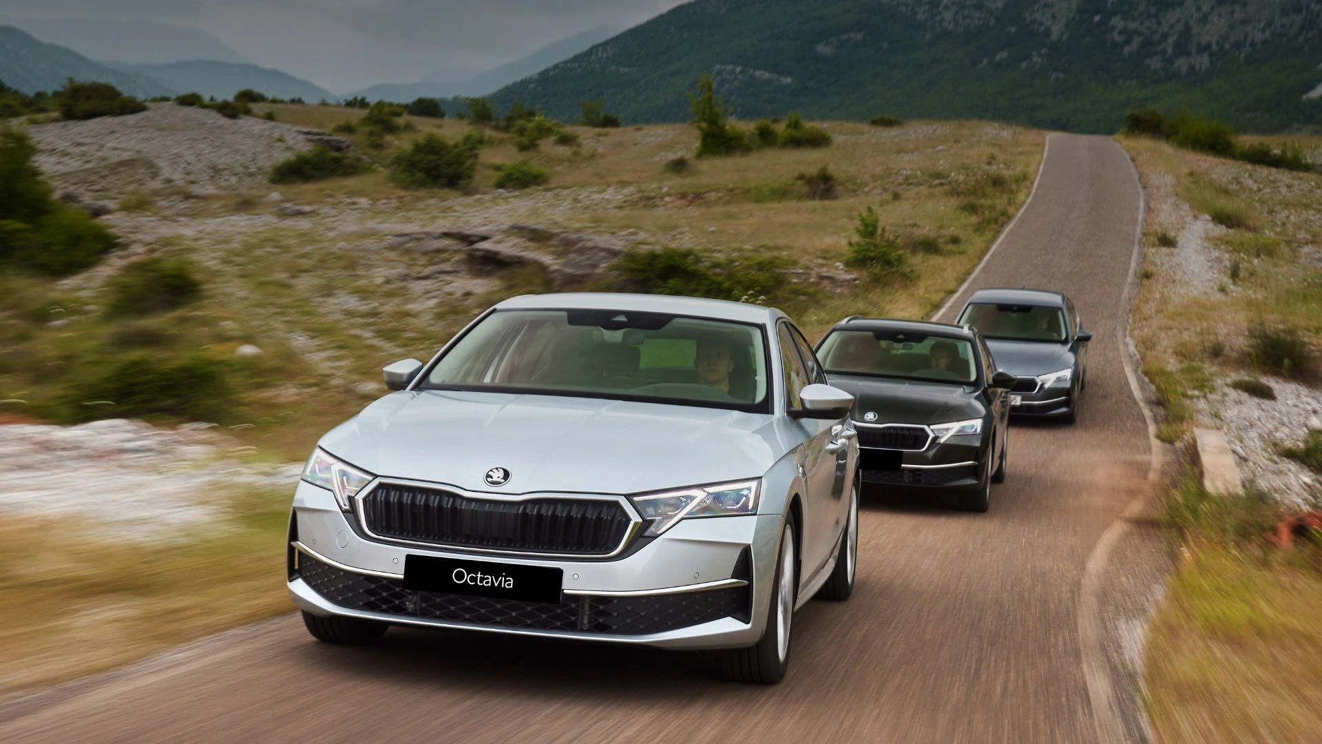 Škoda Octavia — розумний вибір на кожен день!