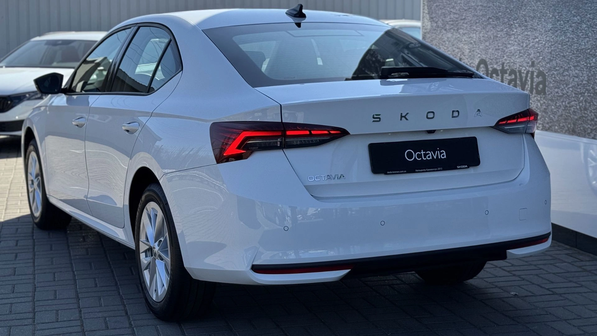 Фото моделі Octavia A8 FL - Octavia A8 Combi FL